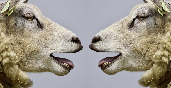 Konflikte? Teurer als gedacht.